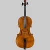 Alexandru Ozon, Bucharest 2008, Stradivarius 'Davidov' Cello