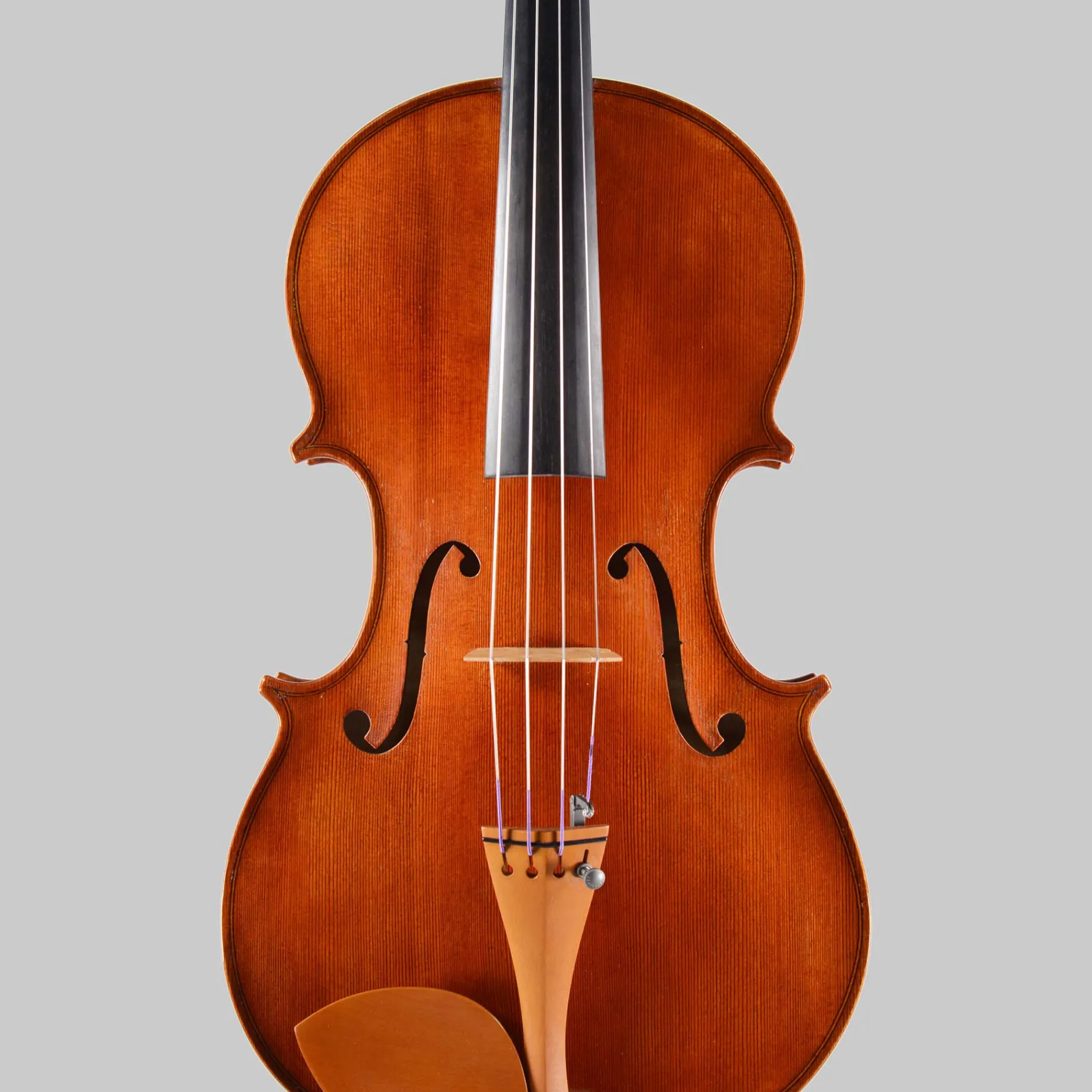 A.M. Bilva, Florida 'Conte Vitale' 16.5" Viola 2024