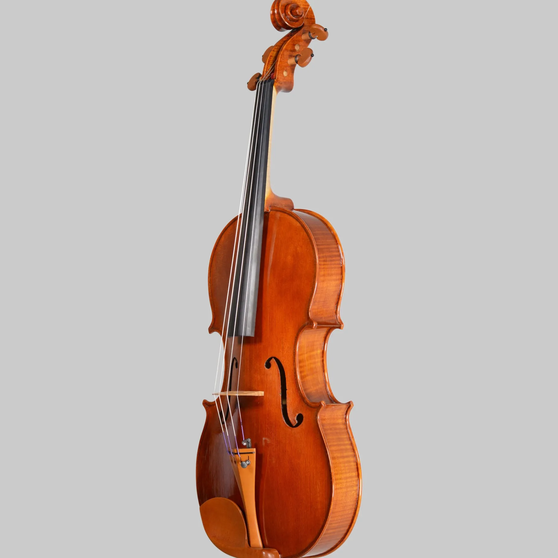A.M. Bilva, Florida 'Conte Vitale' 16.5" Viola 2024