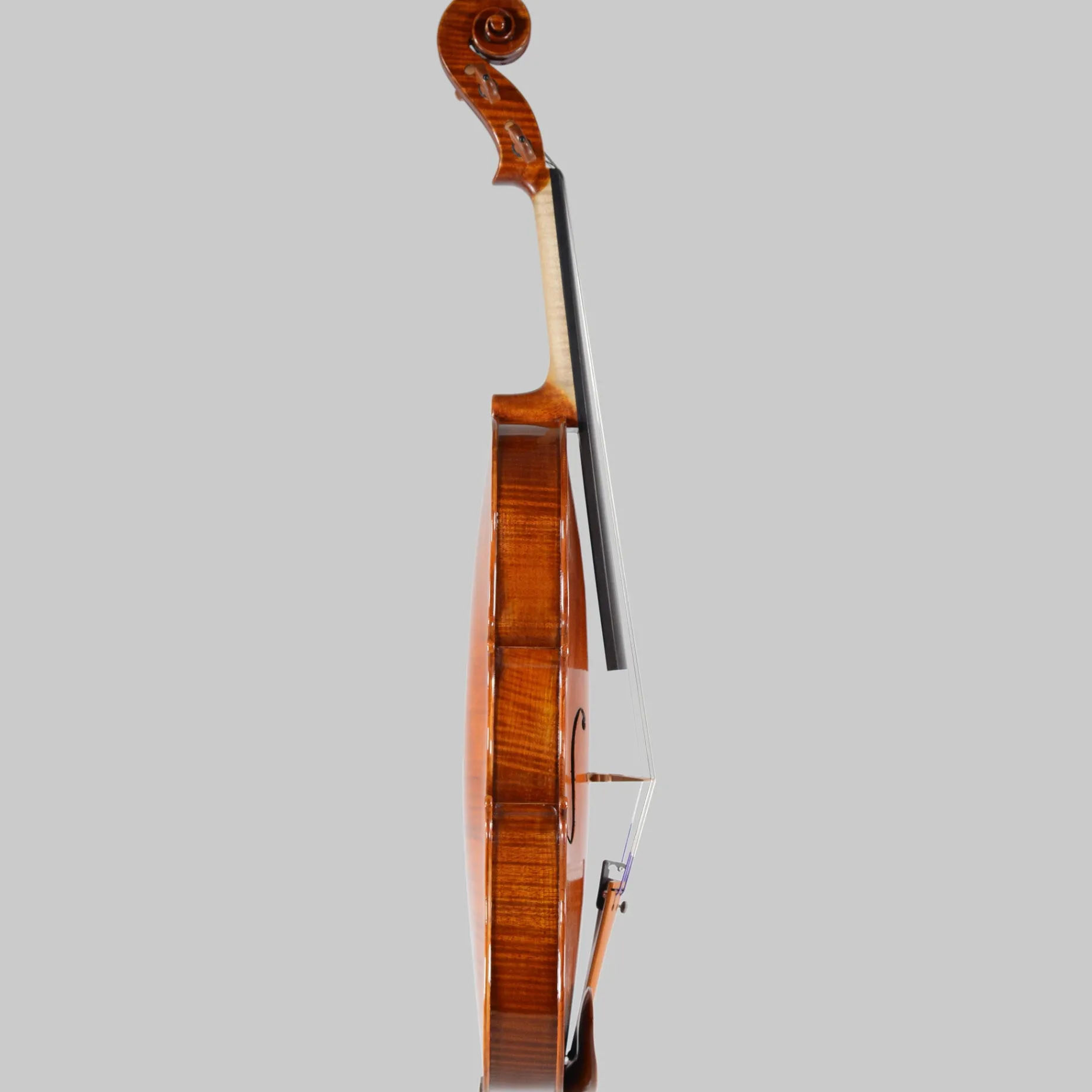 A.M. Bilva, Florida 'Conte Vitale' 16.5" Viola 2024