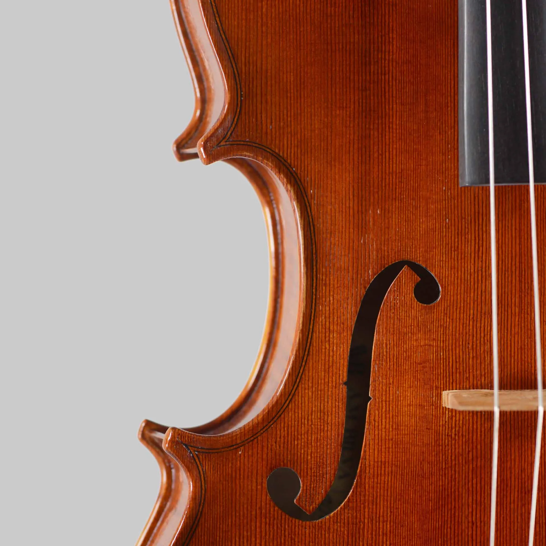 A.M. Bilva, Florida 'Conte Vitale' 16.5" Viola 2024