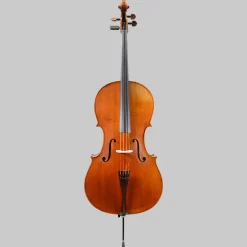 Calin Wultur Piatti Student Cello