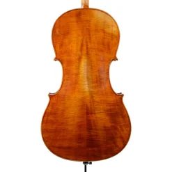 Calin Wultur Piatti Student Cello