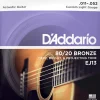 D'Addario EJ13 80/20 Bronze Acoustic Guitar String Set, Custom Light