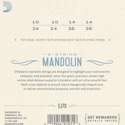 D'Addario EJ73 Phosphor Bronze Mandolin String Set, Light