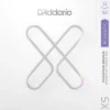 D'Addario XS Phosphor Bronze Acoustic Guitar String Set, Custom Light