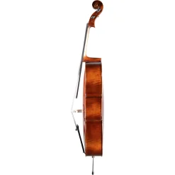 Fiddlerman Artist Cello Outfit