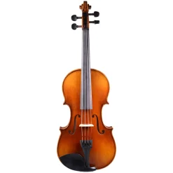 Fiddlerman Artist Violin Outfit