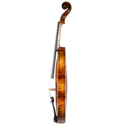 Fiddlerman Master Violin Outfit