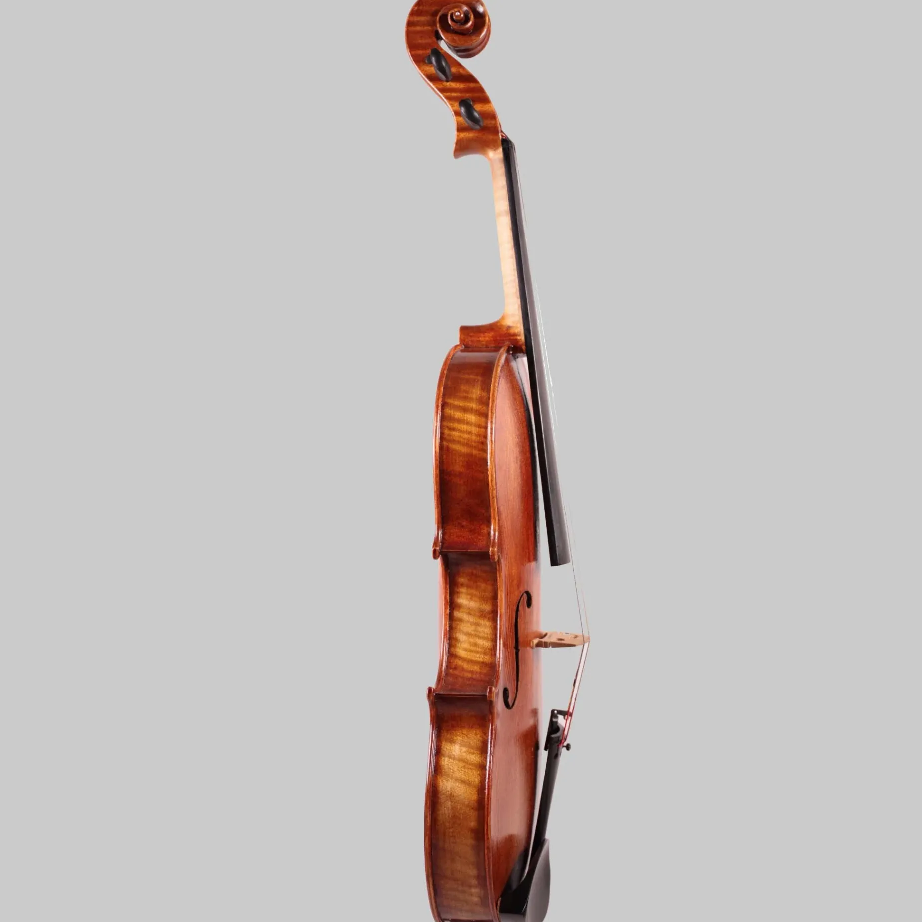 Frank A. Pascarella, Florida USA 16.5" Viola 2015
