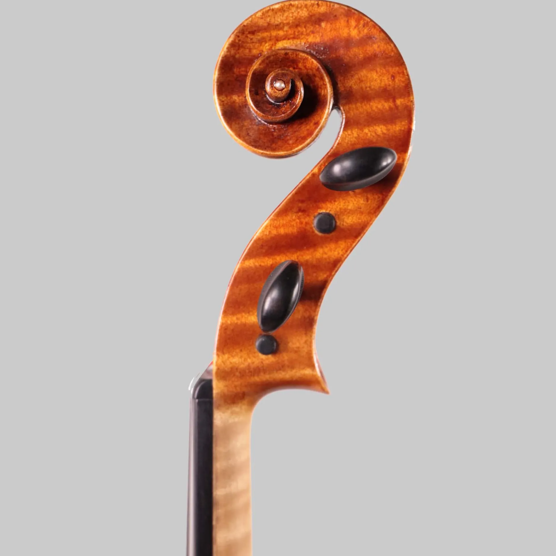 Frank A. Pascarella, Florida USA 16.5" Viola 2015