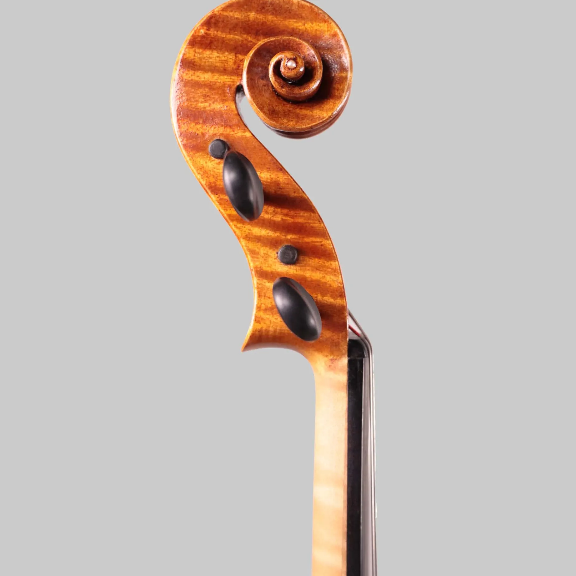 Frank A. Pascarella, Florida USA 16.5" Viola 2015