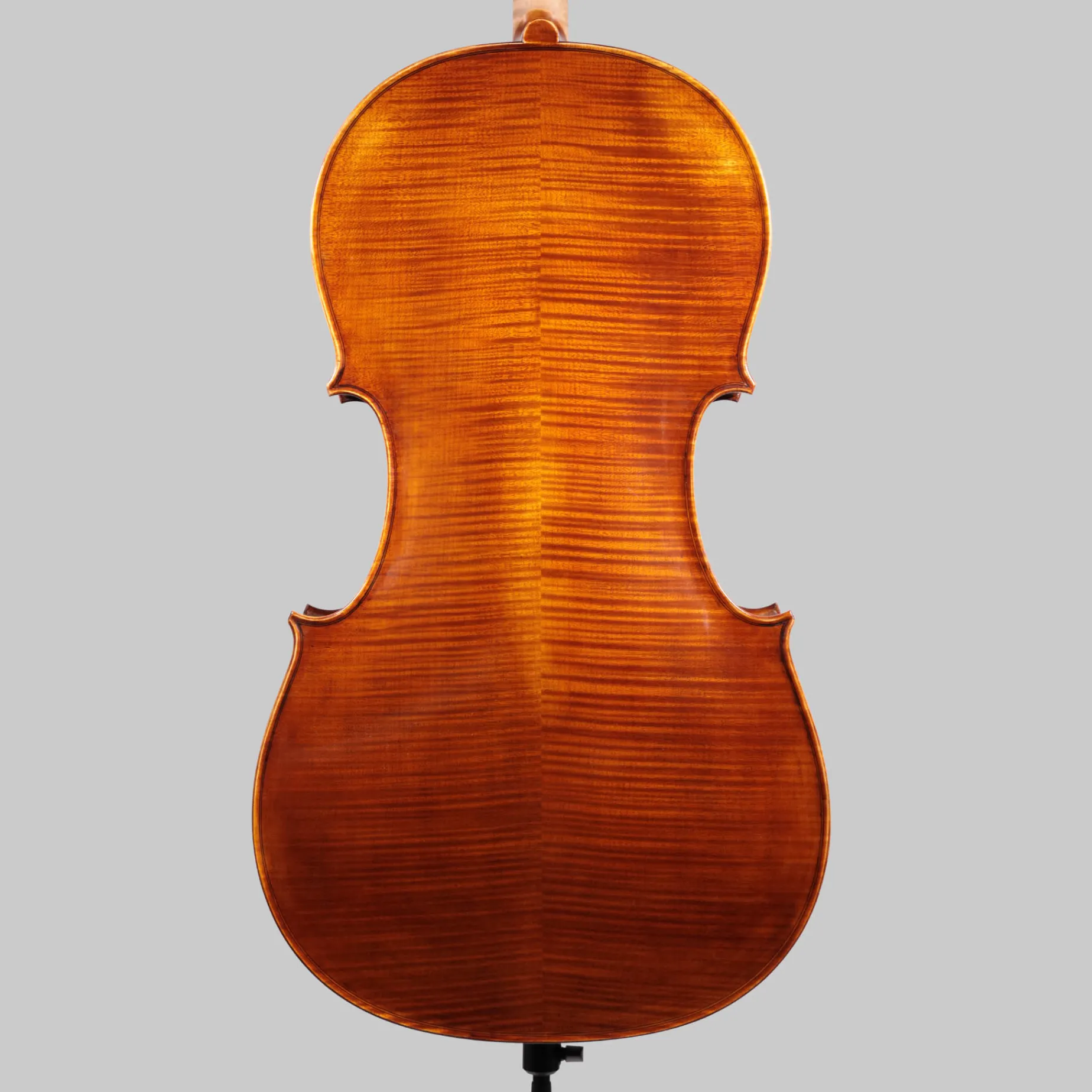Holstein German Maestro Cello