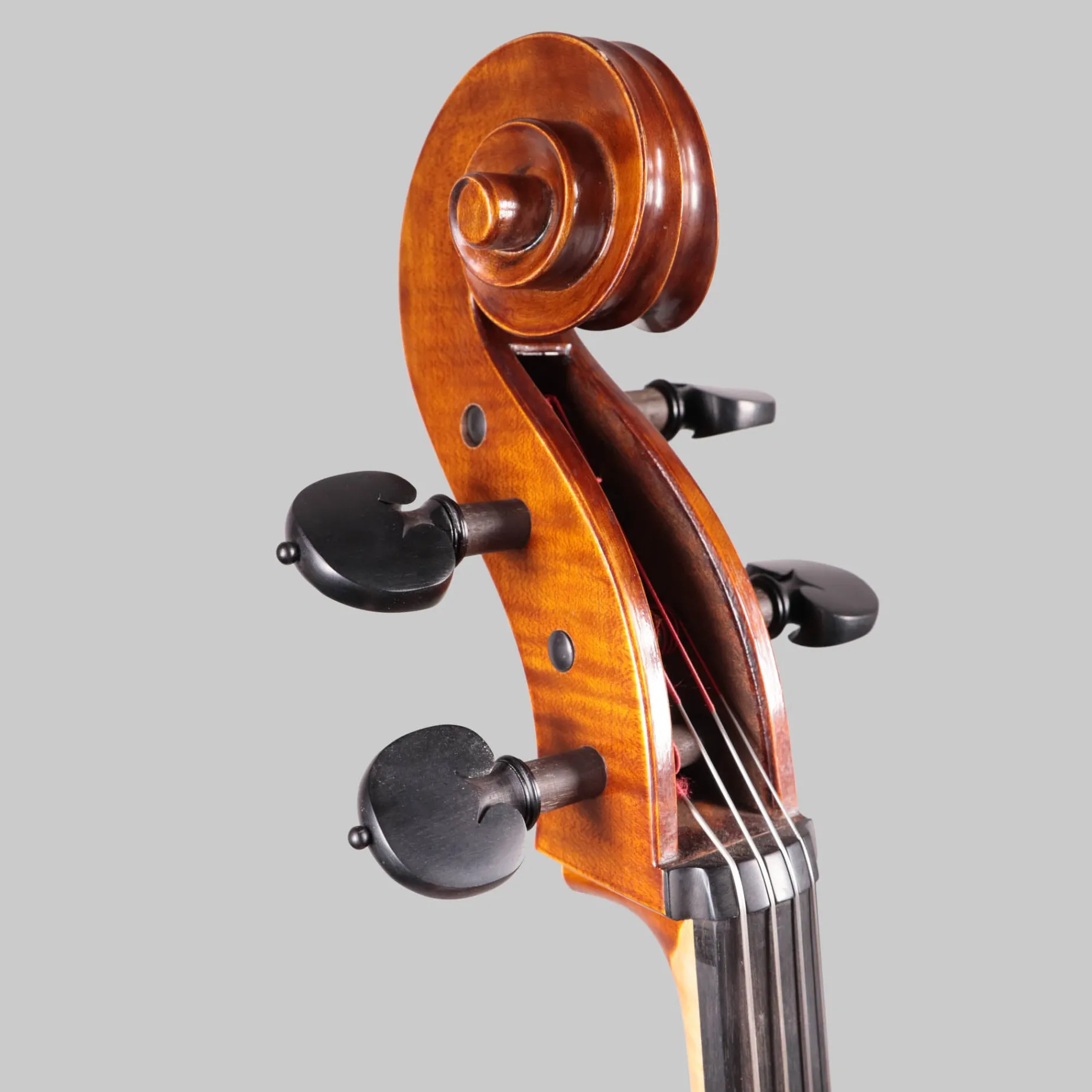 Holstein German Maestro Cello