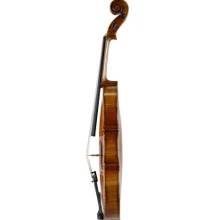 Holstein Traditional Panette Viola