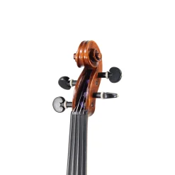 Holstein Traditional Plowden Violin