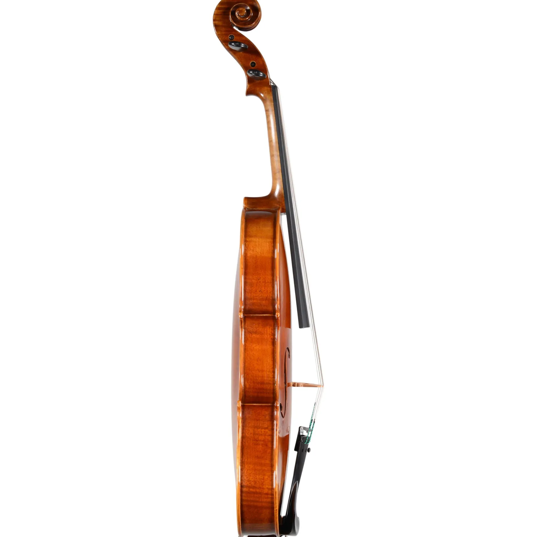 Holstein Traditional Tertis Viola