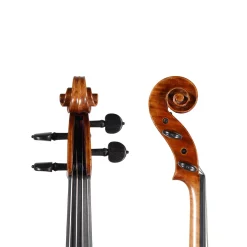 Holstein Traditional Tertis Viola