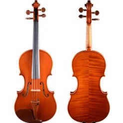 Holstein Workshop by Ming Jiang Zhu Violin