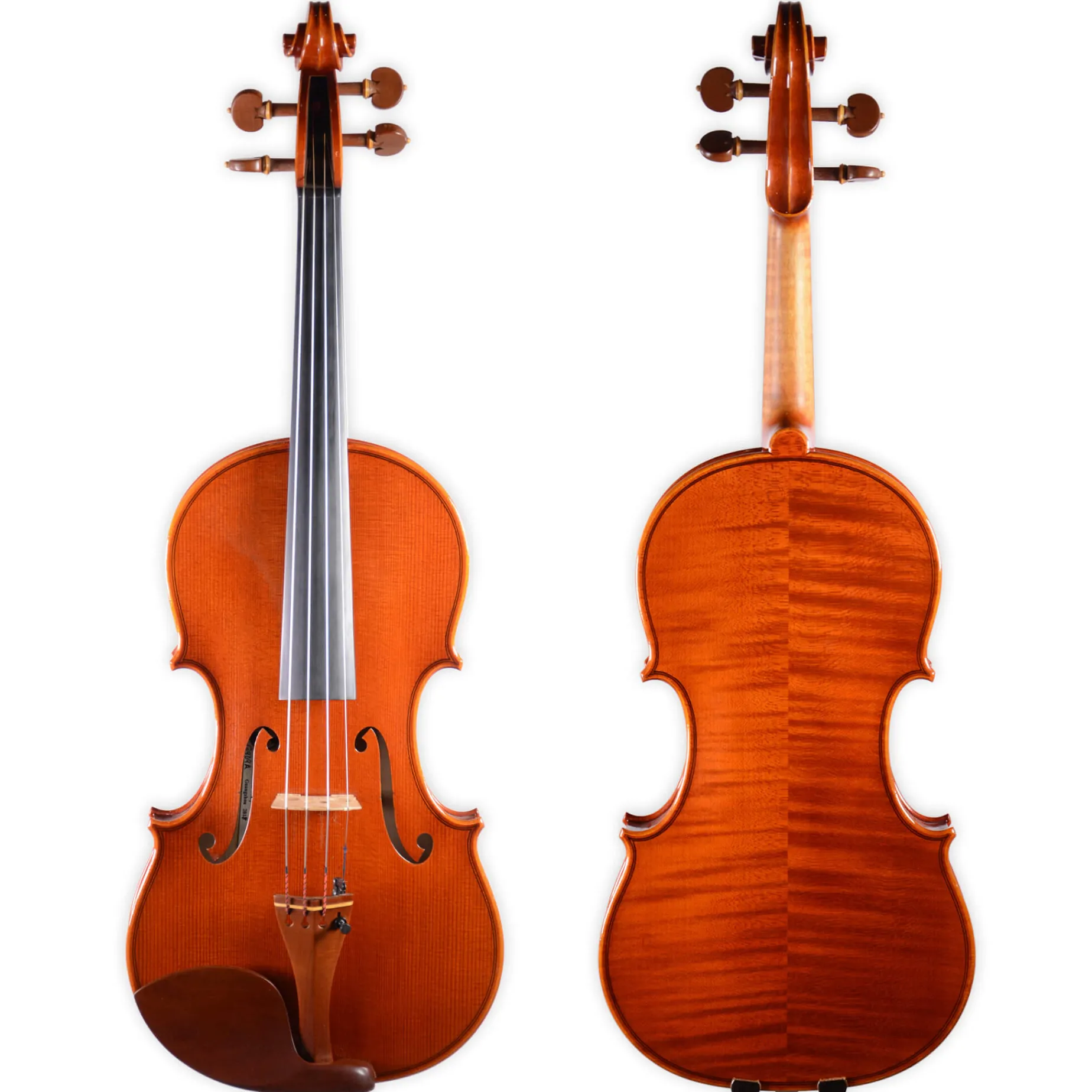 Holstein Workshop by Ming Jiang Zhu Violin