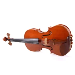 Holstein Workshop by Ming Jiang Zhu Violin