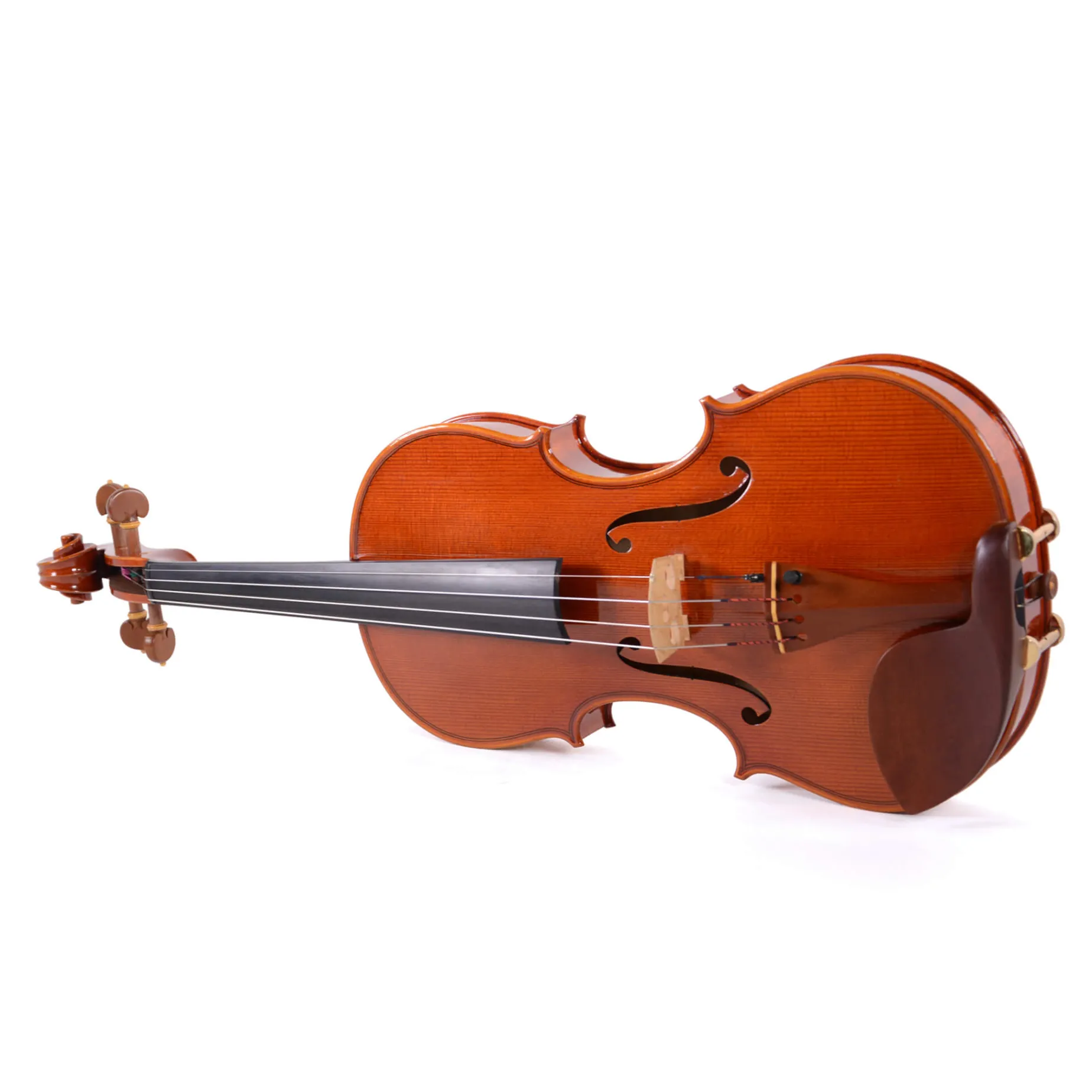 Holstein Workshop by Ming Jiang Zhu Violin