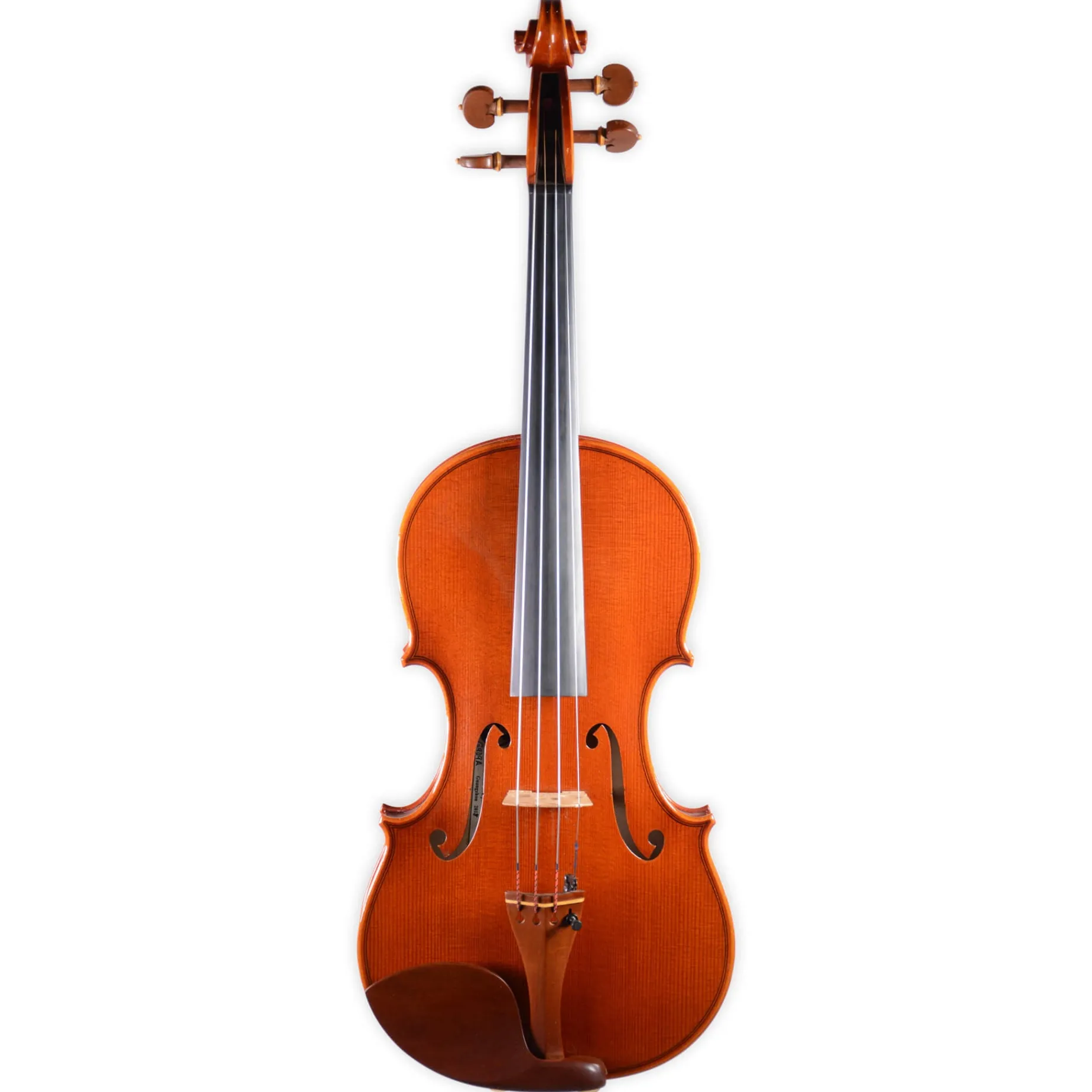 Holstein Workshop by Ming Jiang Zhu Violin