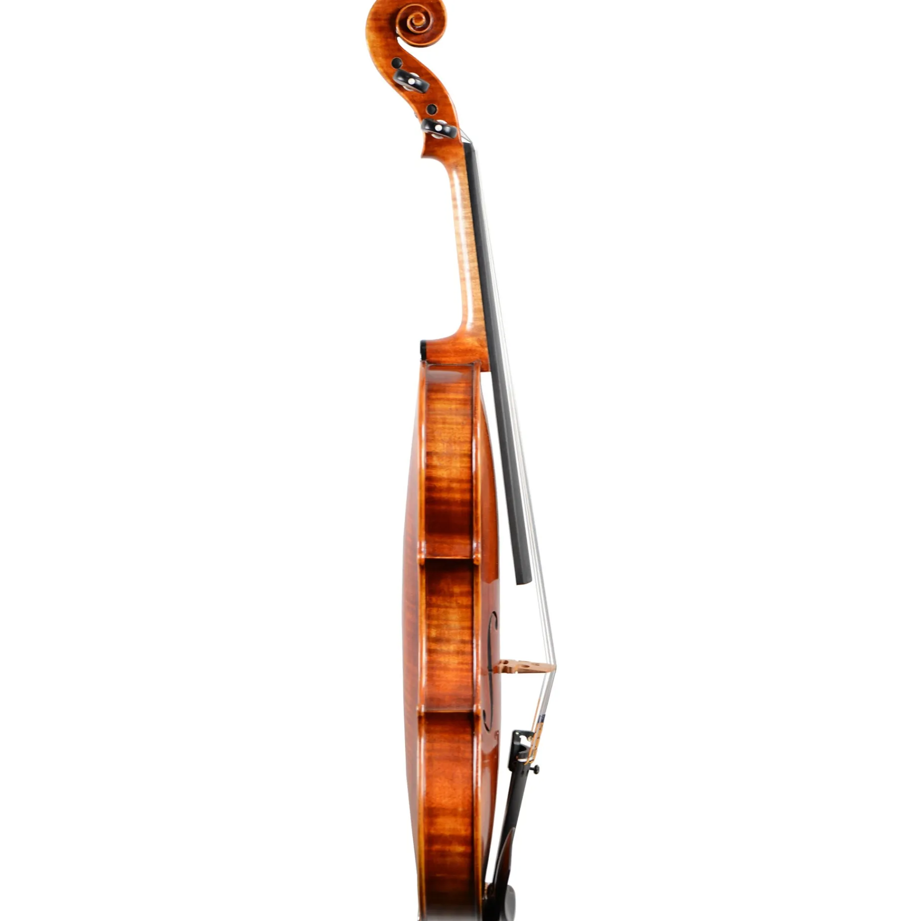 Holstein Workshop Plowden Violin