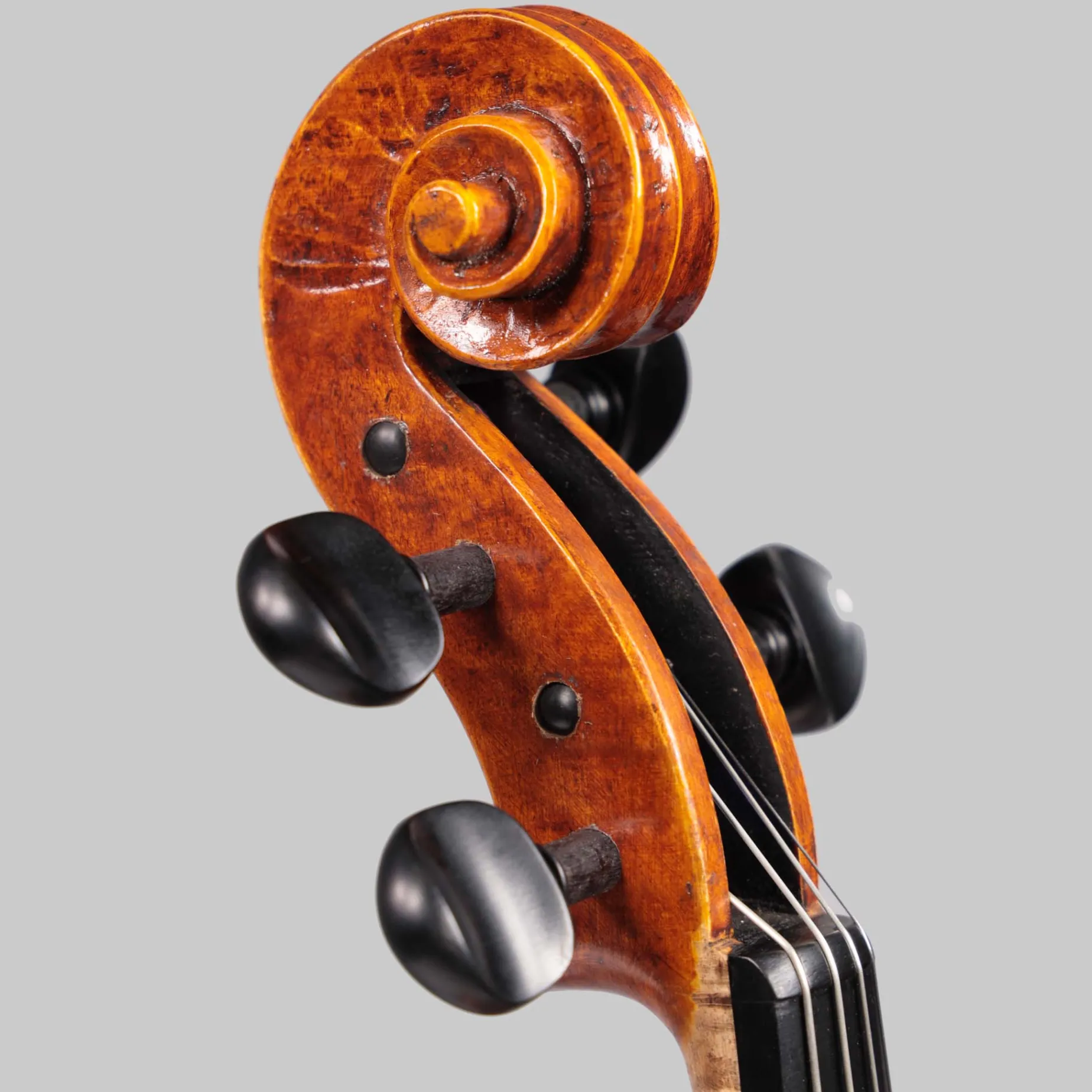 Martin Sheridan 15.5" Viola 2020
