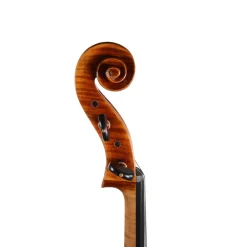 Ming Jiang Zhu 907 Cello