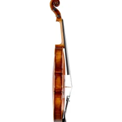 Ming Jiang Zhu 903 Viola
