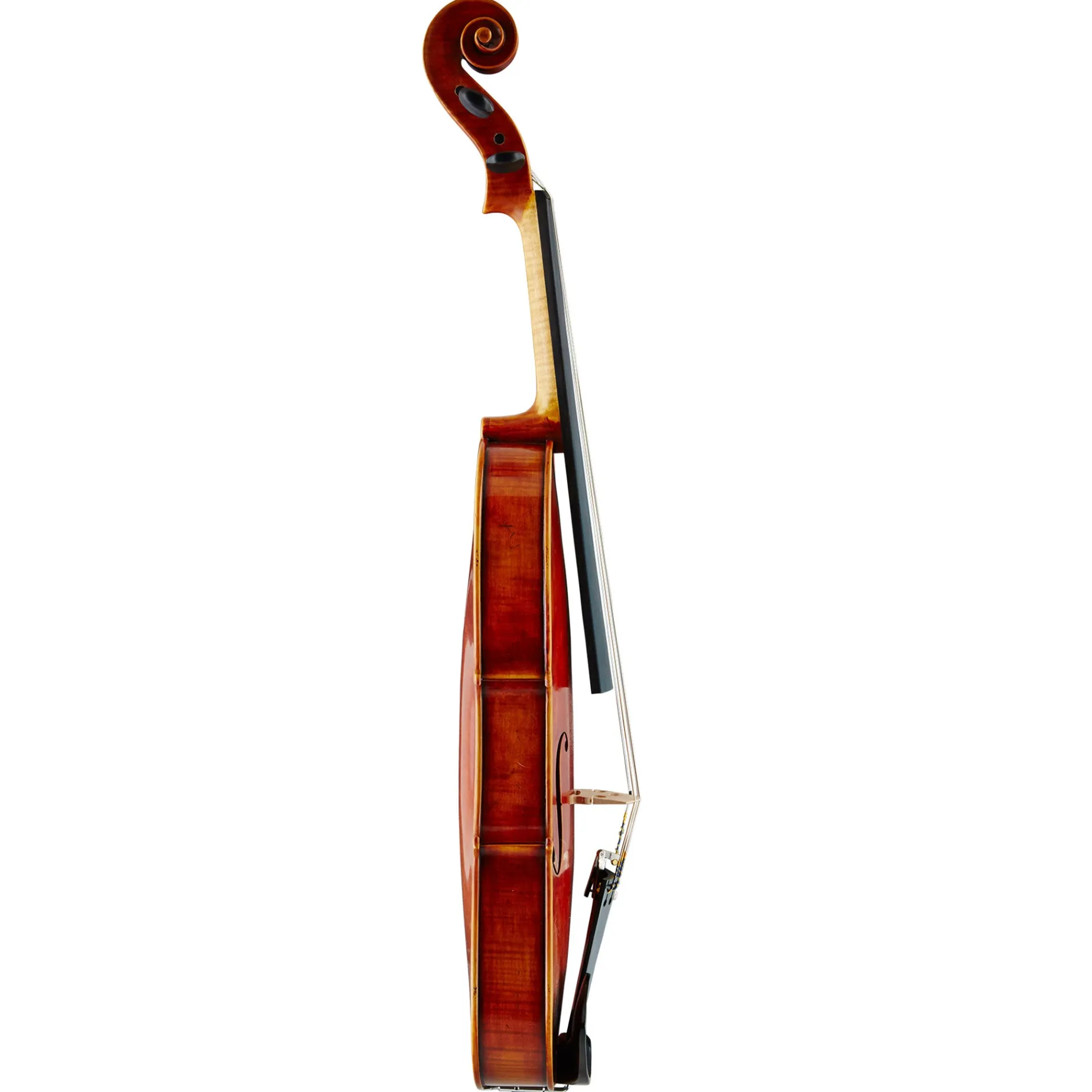 Nicolo Gabrieli Concert Viola