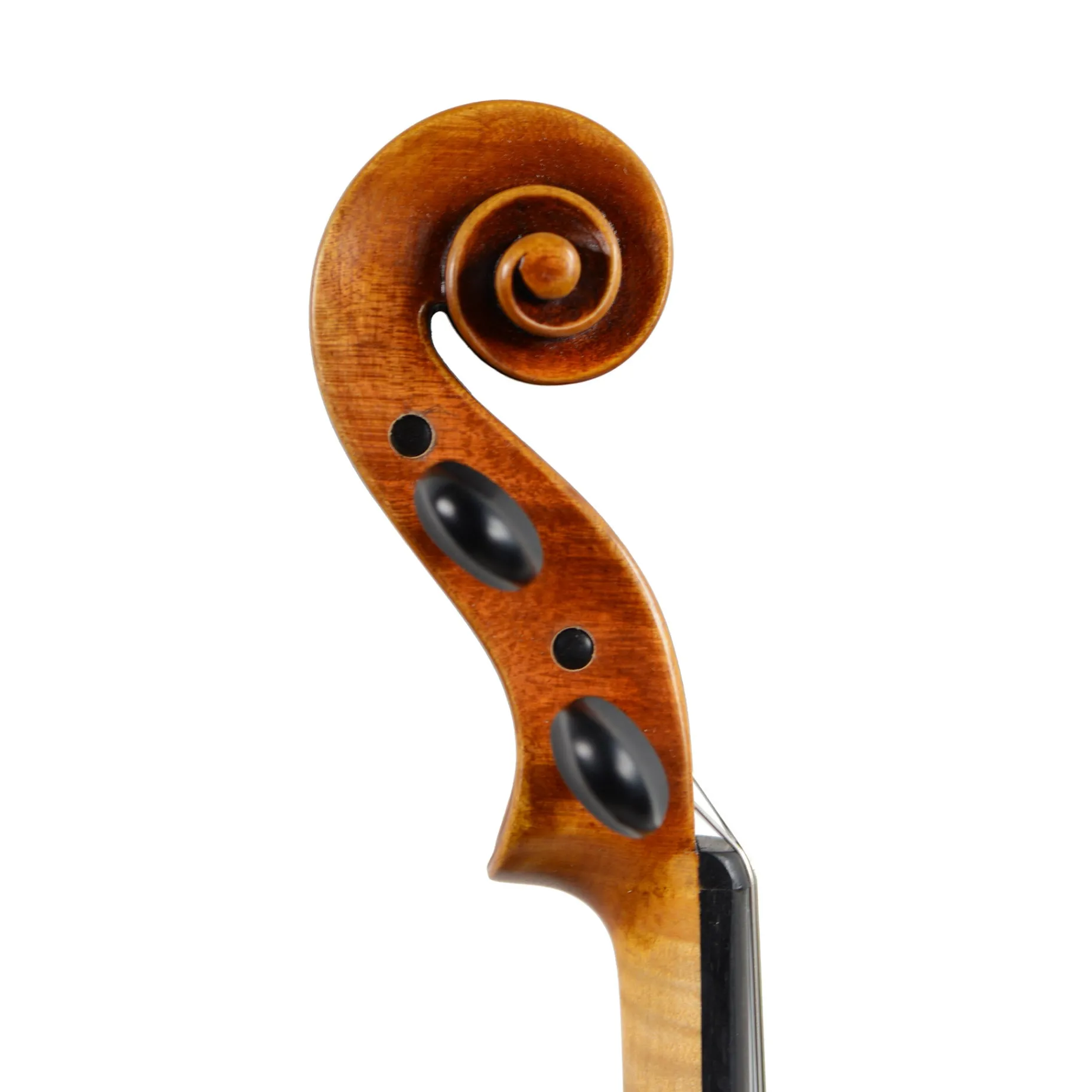 Nicolo Gabrieli Grand Master Viola