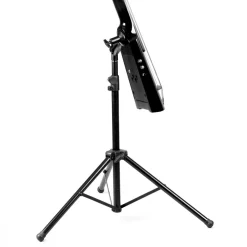NS Design NXTa 5-string Electric Cello