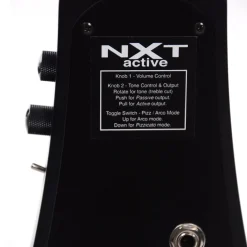 NS Design NXTa 4-string Electric Violin