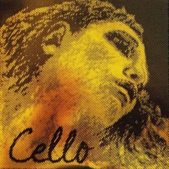 Pirastro Evah Pirazzi Gold Cello C String