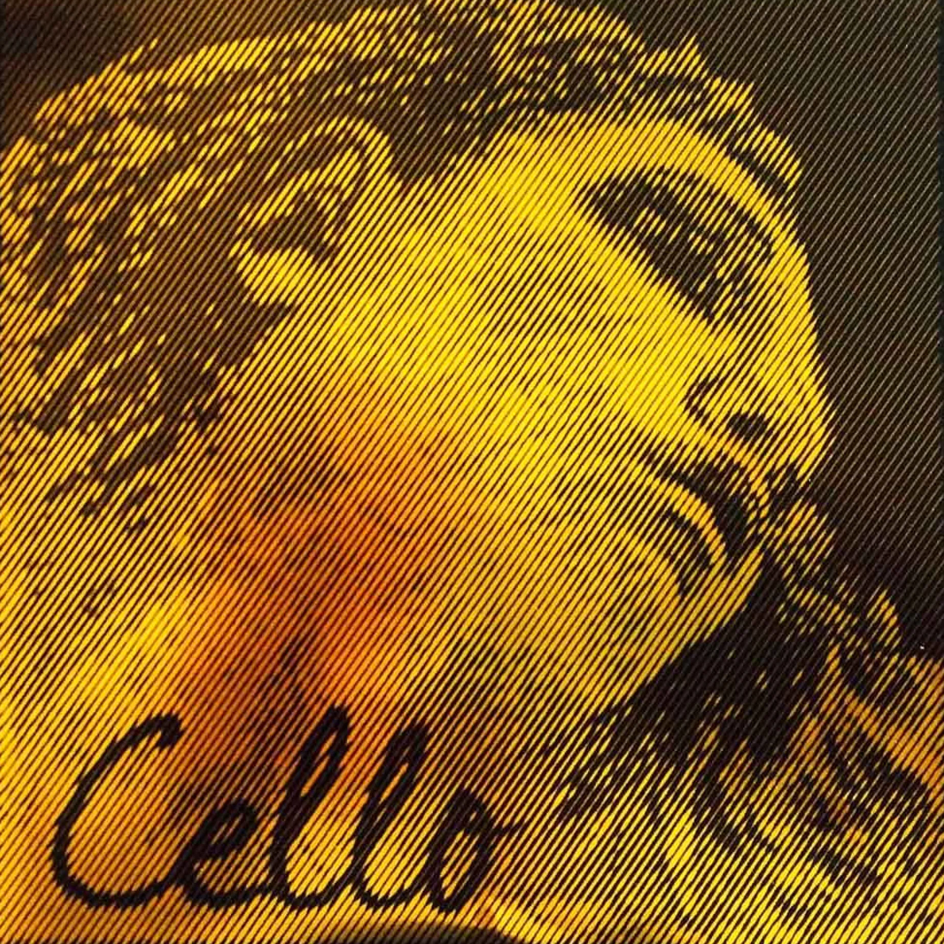 Pirastro Evah Pirazzi Gold Cello G String