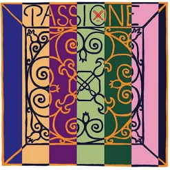 Pirastro Passione Orchestra Bass E String