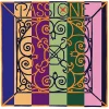 Pirastro Passione Solo Bass String Set