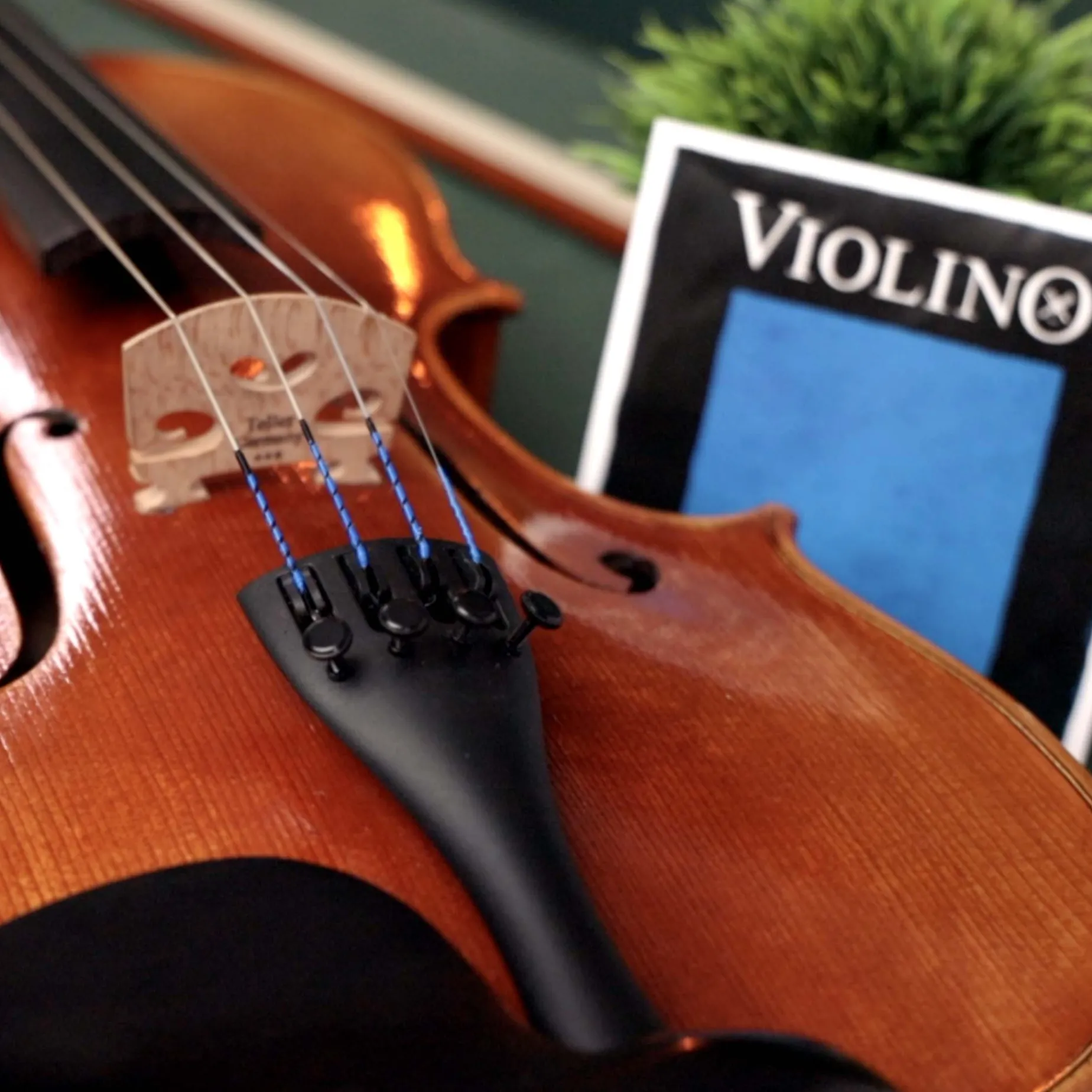 Pirastro Violino Violin G String