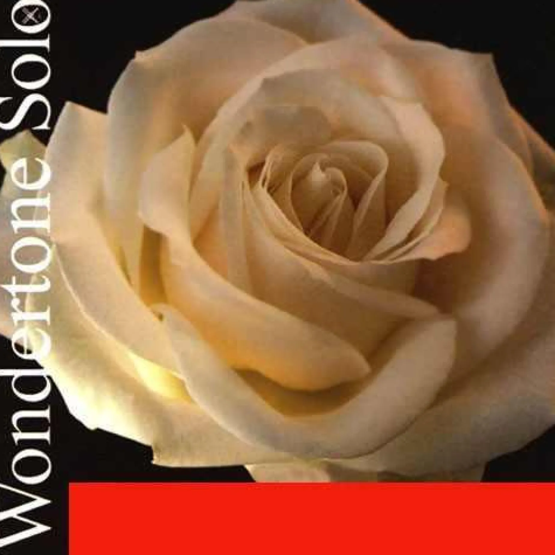 Pirastro Wondertone Solo Violin G String