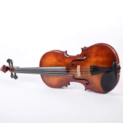 Realist Pro Acoustic-Electric 4-string Violin with Case