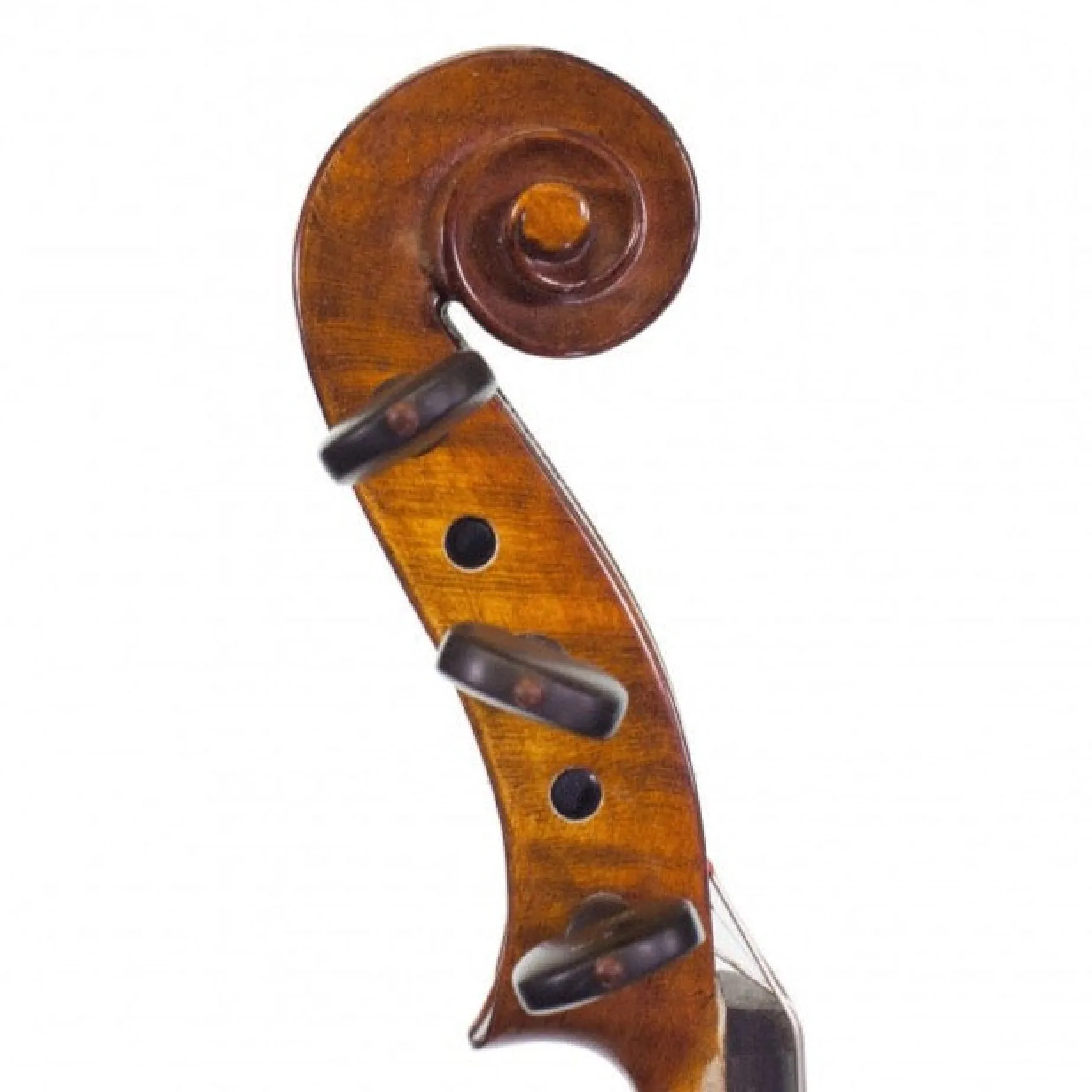Realist Pro Acoustic-Electric 5-string Violin with Case