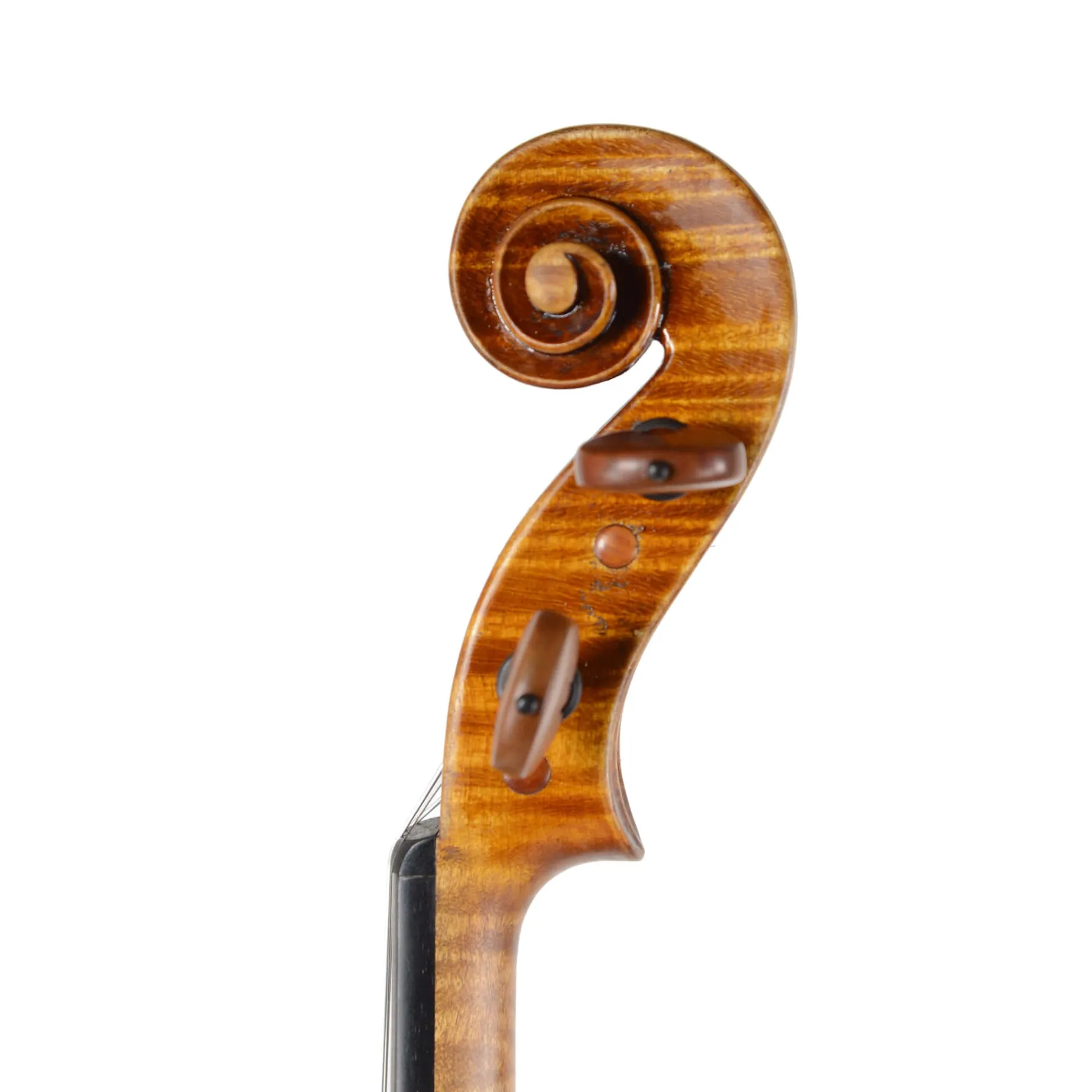 Scott Cao Signature Series Violin
