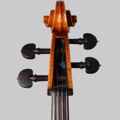 Simon Joseph Stradivarius Cello, Transylvania 2016