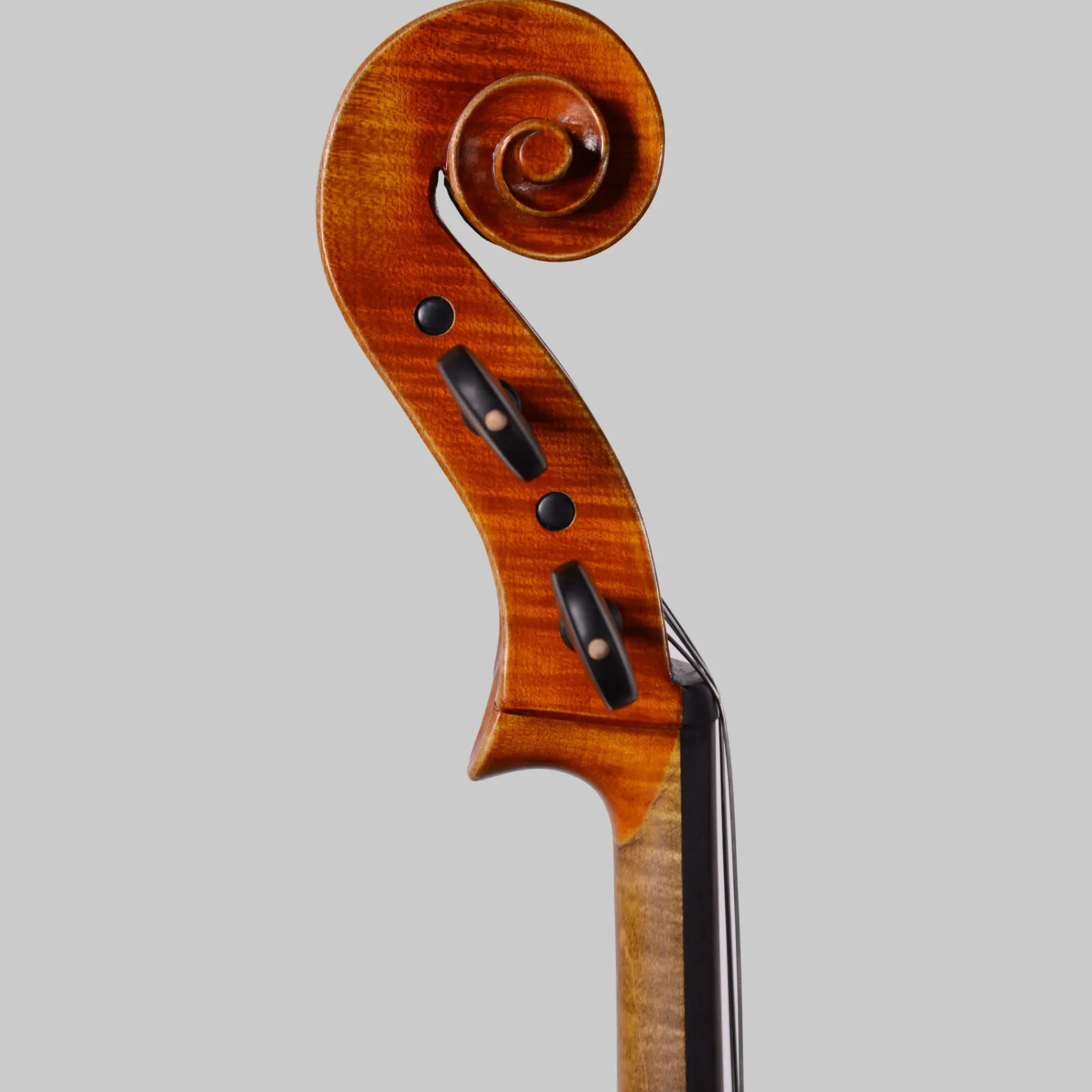 Simon Joseph Stradivarius Cello, Transylvania 2016