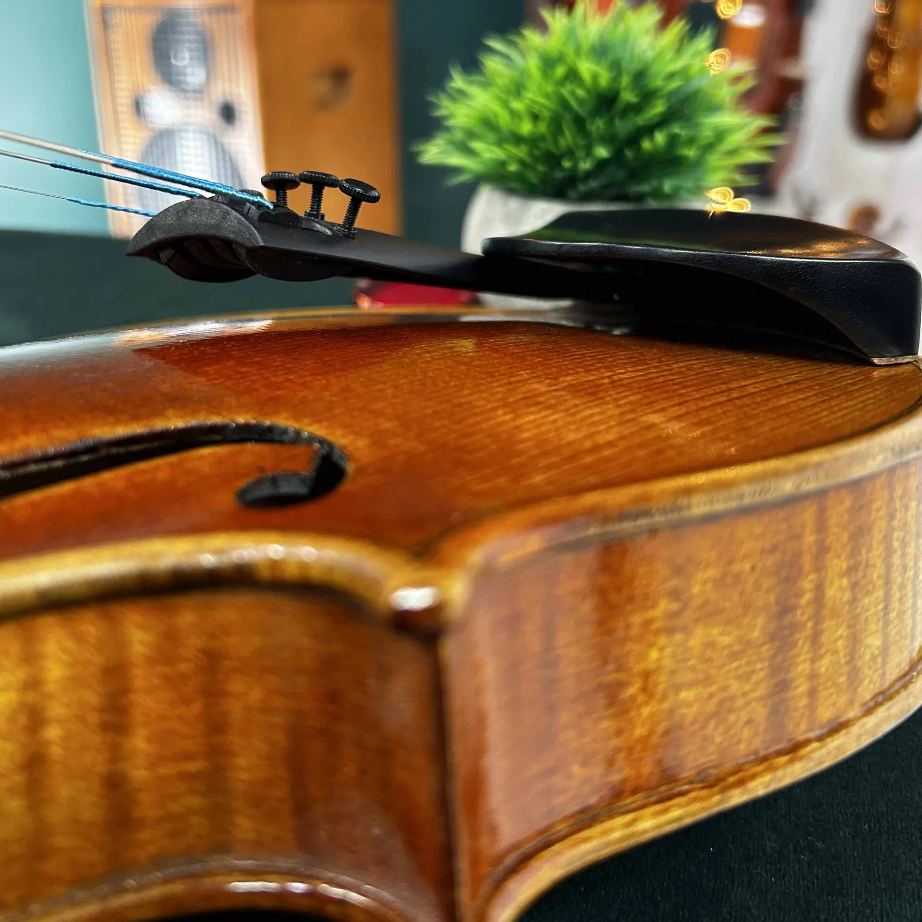 Supreme English Violin Chinrest