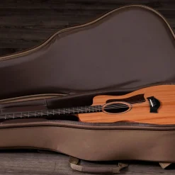 Taylor Academy 24ce Sapele & Mahogany Acoustic-Electric Guitar