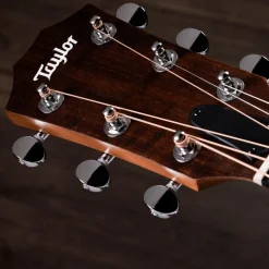 Taylor Academy 24ce Sapele & Mahogany Acoustic-Electric Guitar