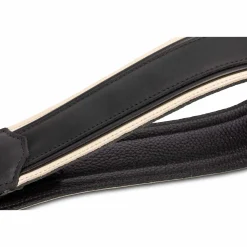 Taylor American Dream 2.5